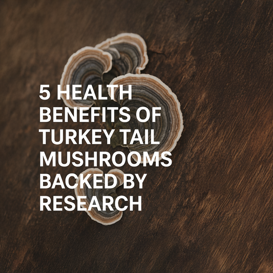 5 Health Benefits of Turkey Tail Mushrooms Backed by Research