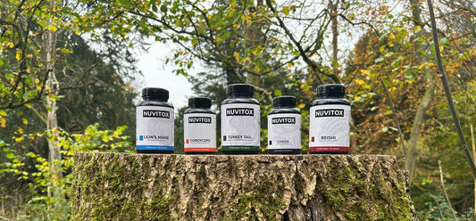 Do Mushroom Supplements Really Work?