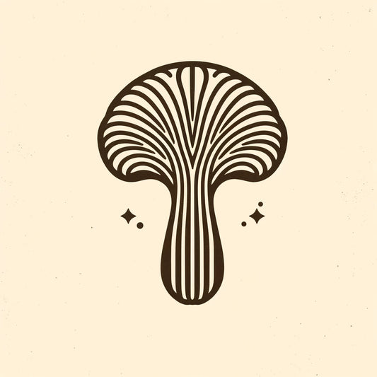 The History of Lion's Mane: From Ancient Medicine to Modern Superfood