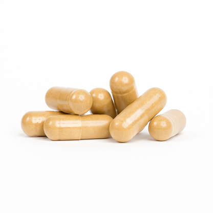 Chaga - 120 Capsules