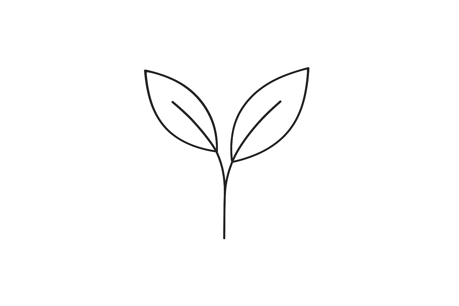 WITHOUT TECT AND THINNER LINE 
